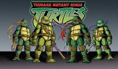 Teenage Mutant Ninja Turtles TMNT